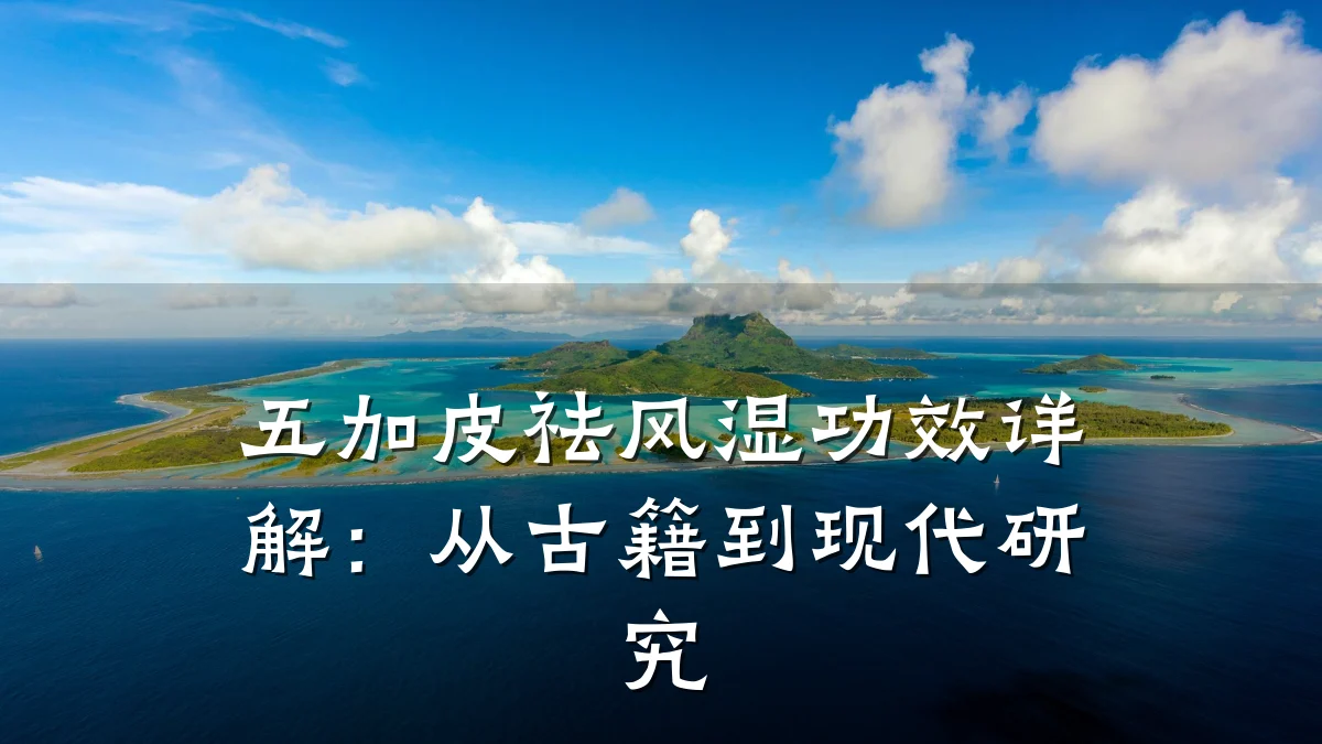 五加皮祛风湿功效详解：从古籍到现代研究