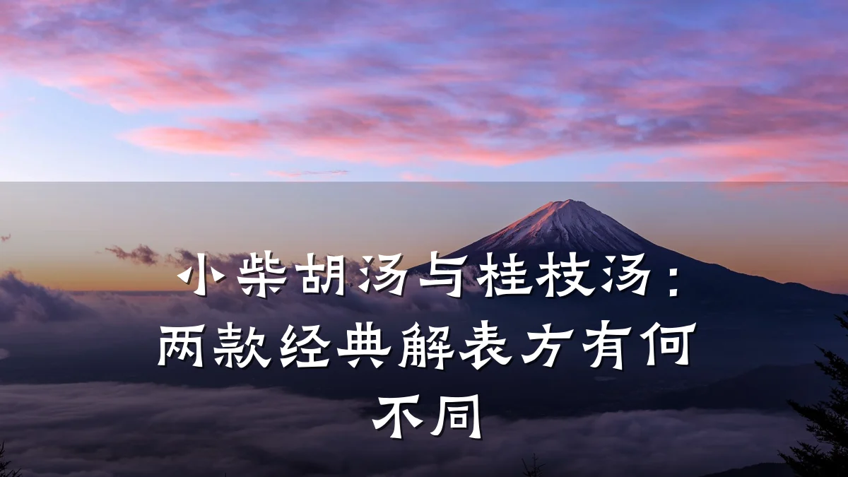 小柴胡汤与桂枝汤:两款经典解表方有何不同