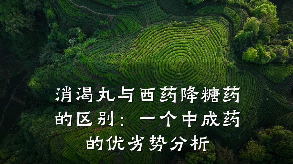 消渴丸与西药降糖药的区别：一个中成药的优劣势分析