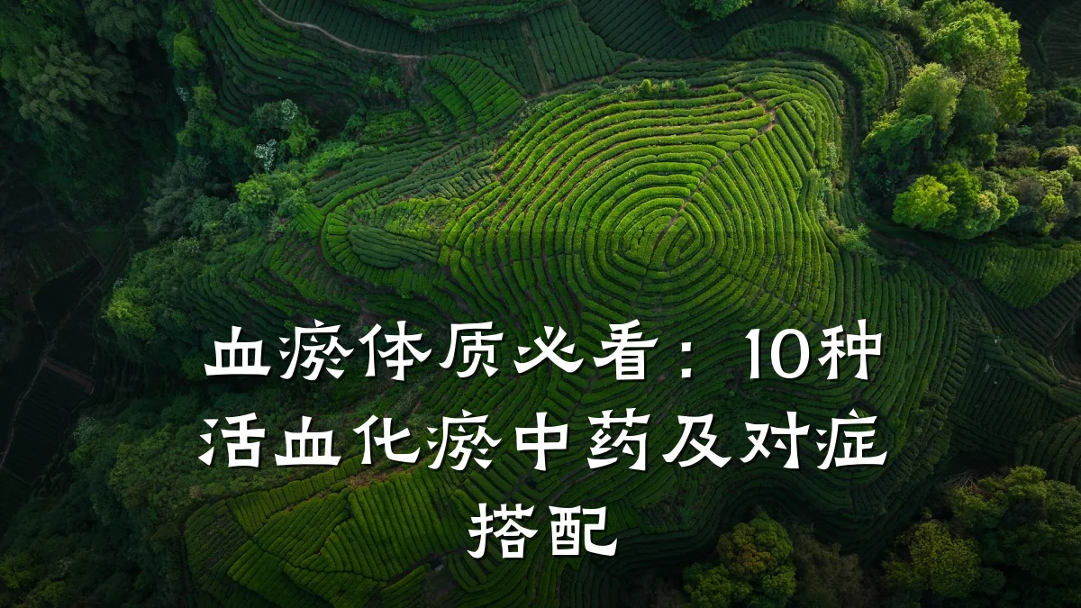 血瘀体质必看：10种活血化瘀中药及对症搭配