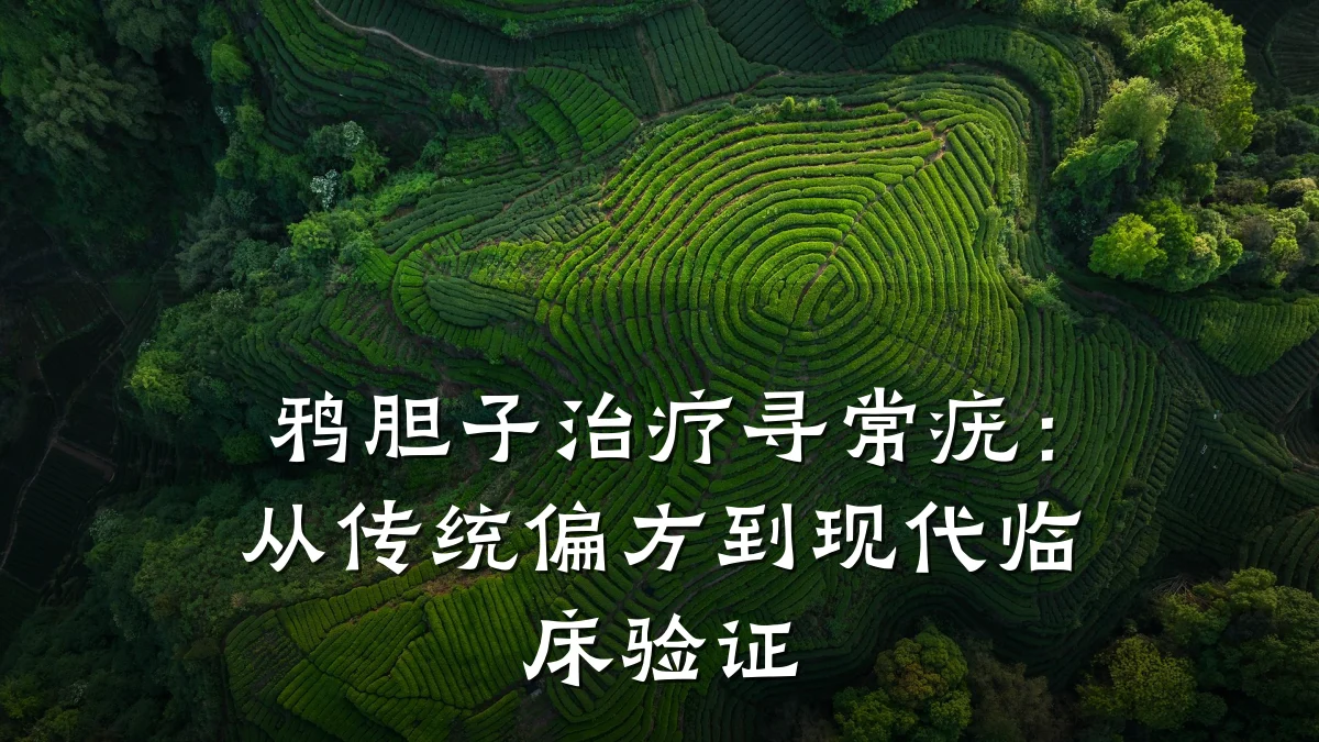 鸦胆子治疗寻常疣：从传统偏方到现代临床验证