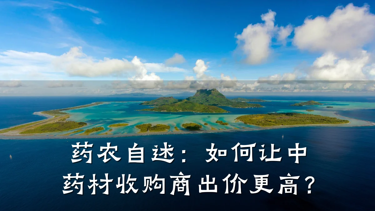 药农自述:如何让中药材收购商出价更高?
