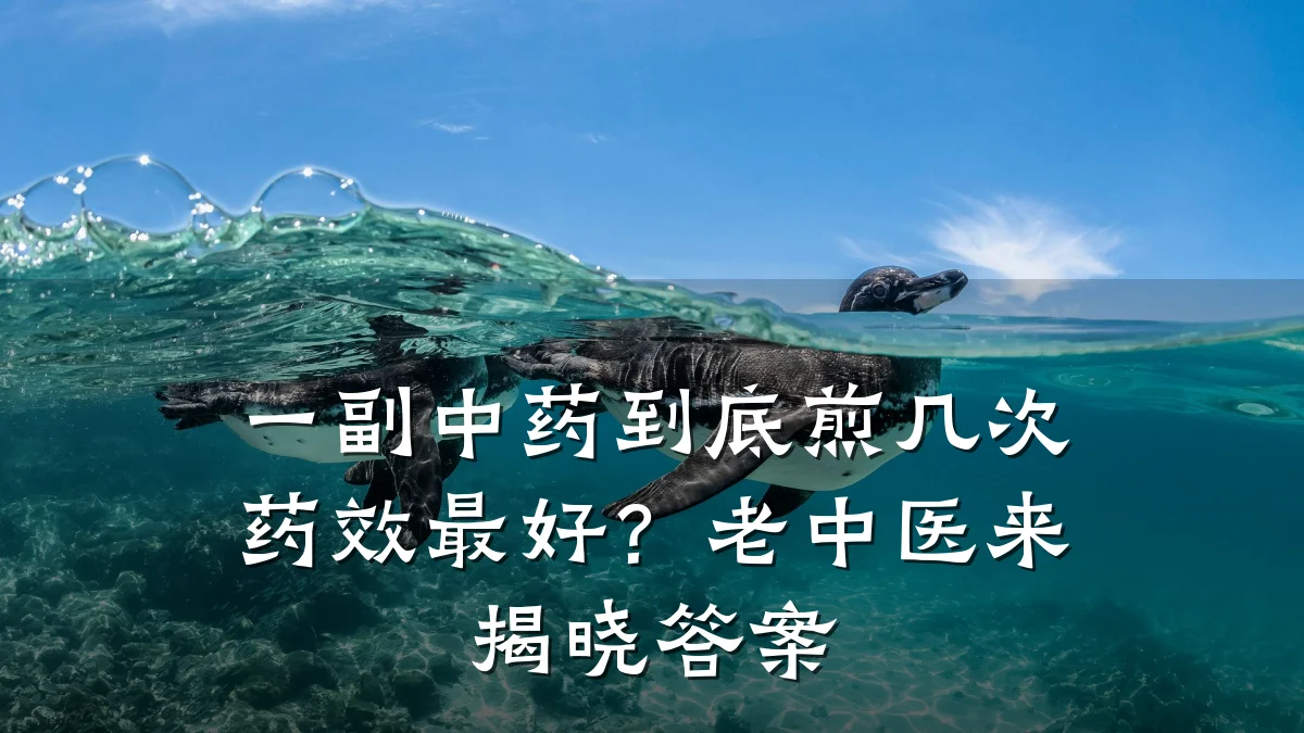 一副中药到底煎几次药效最好?老中医来揭晓答案