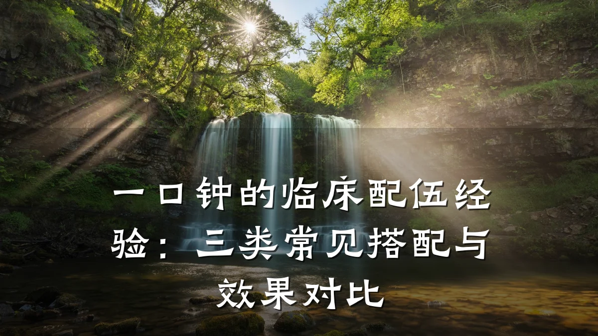 一口钟的临床配伍经验:三类常见搭配与效果对比