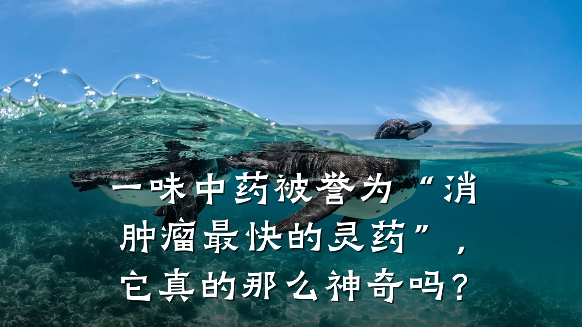 一味中药被誉为“消肿瘤最快的灵药”,它真的那么神奇吗?