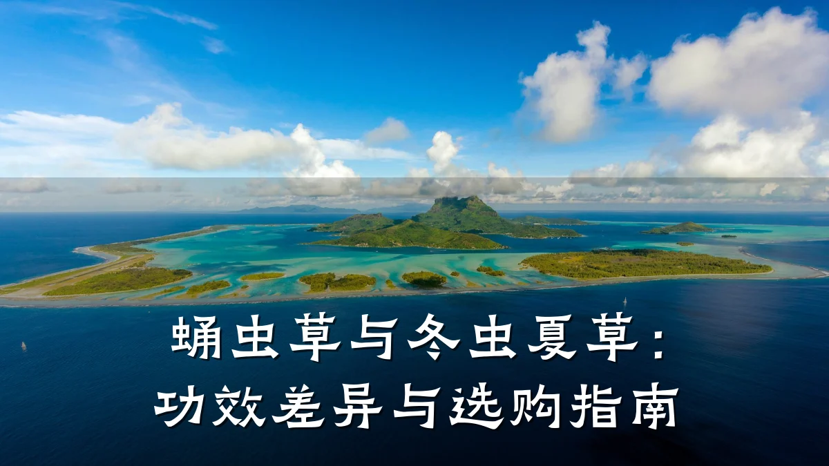 蛹虫草与冬虫夏草：功效差异与选购指南