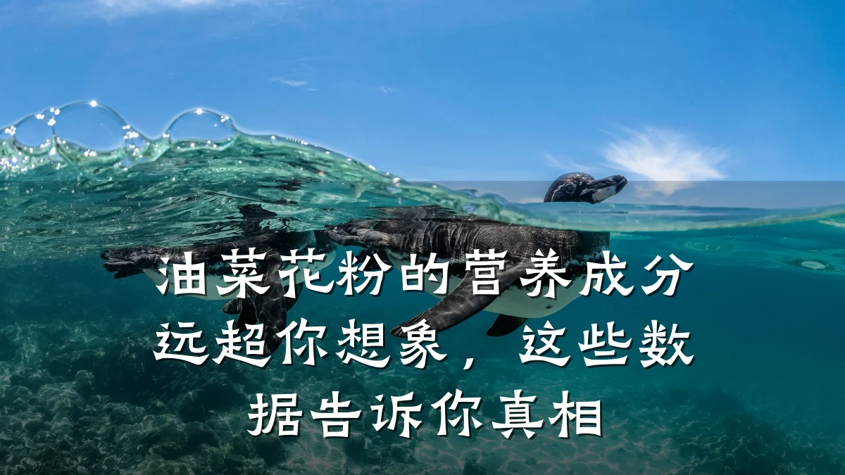 油菜花粉的营养成分远超你想象，这些数据告诉你真相
