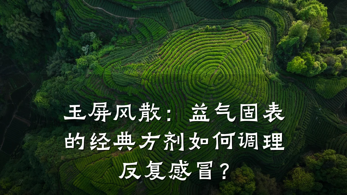 玉屏风散：益气固表的经典方剂如何调理反复感冒？