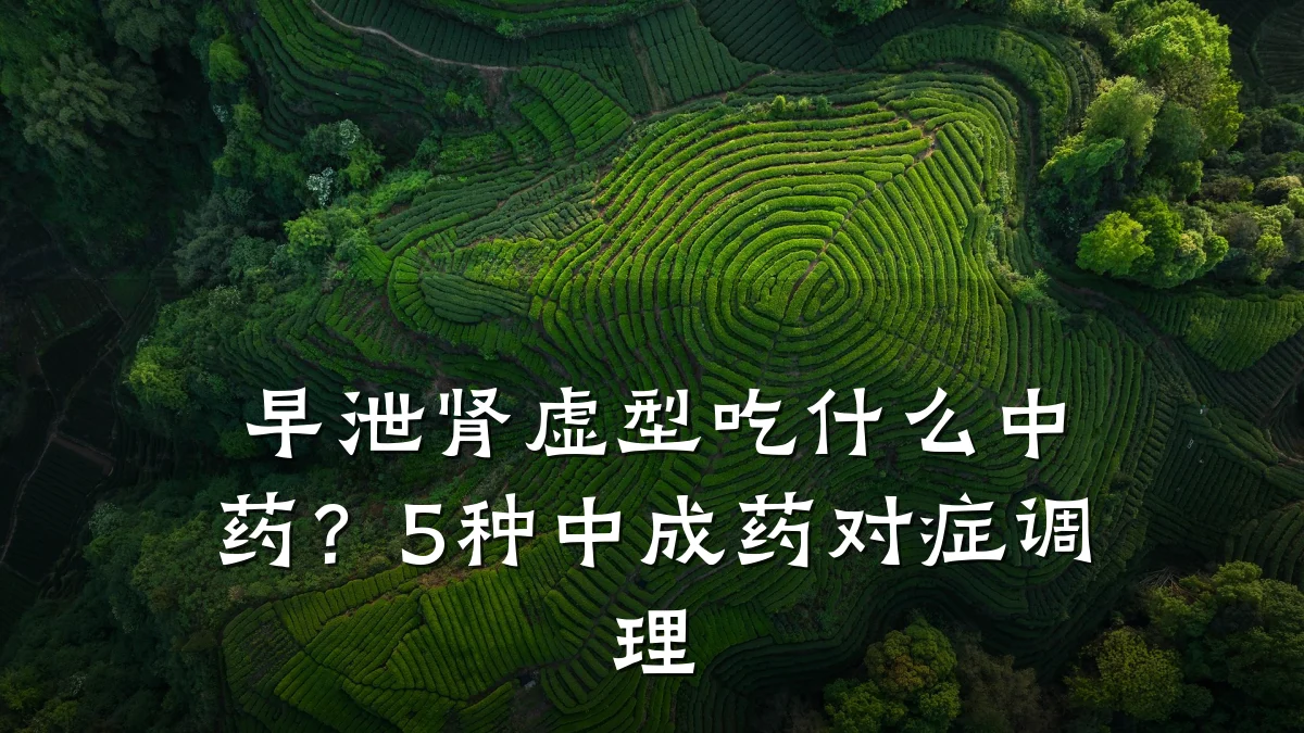 早泄肾虚型吃什么中药？5种中成药对症调理