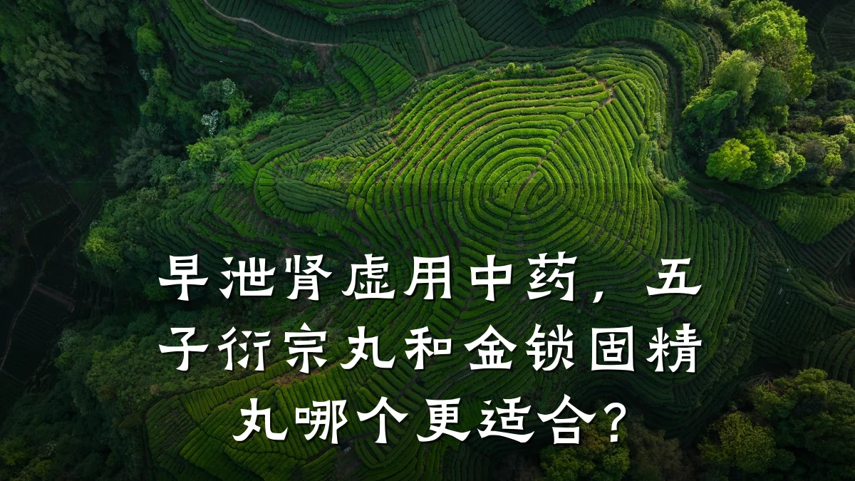 早泄肾虚用中药，五子衍宗丸和金锁固精丸哪个更适合？