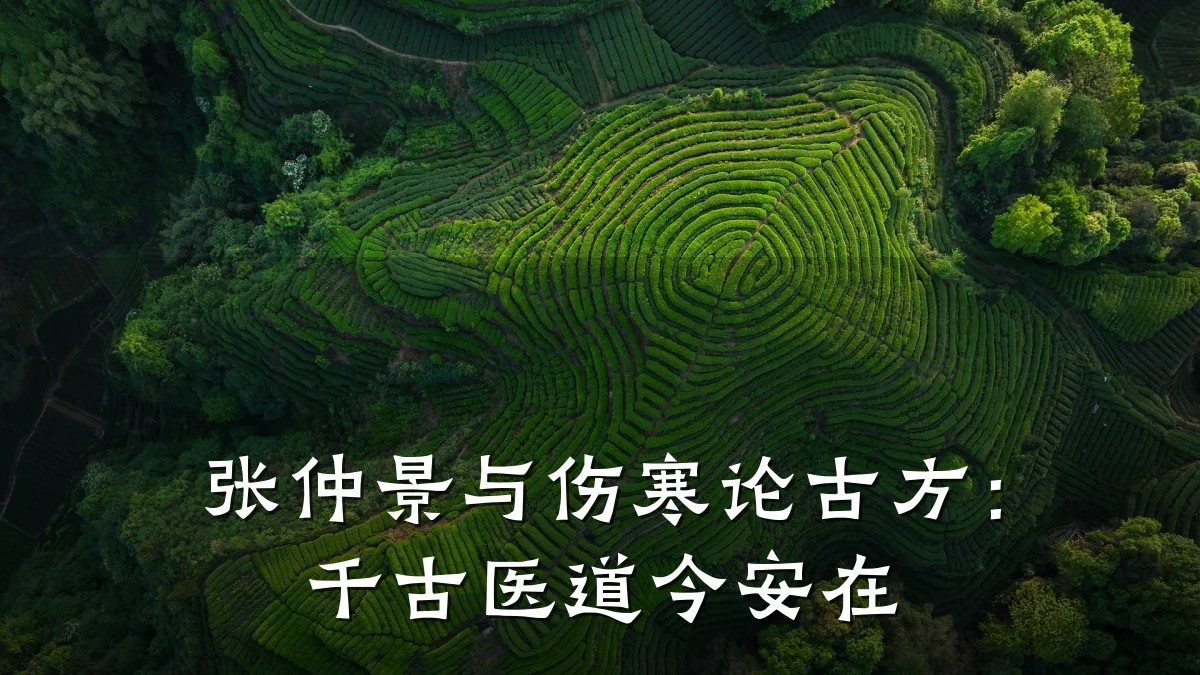 张仲景与伤寒论古方：千古医道今安在