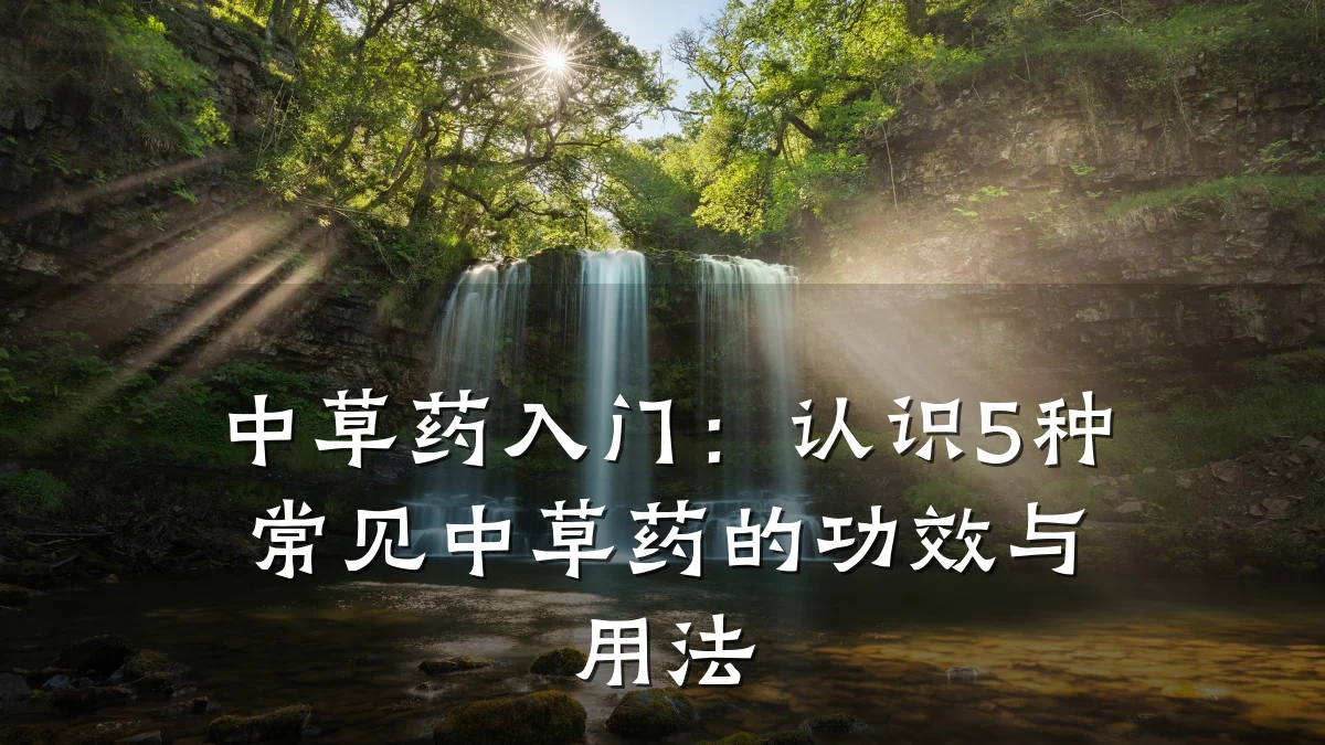 中草药入门：认识5种常见中草药的功效与用法