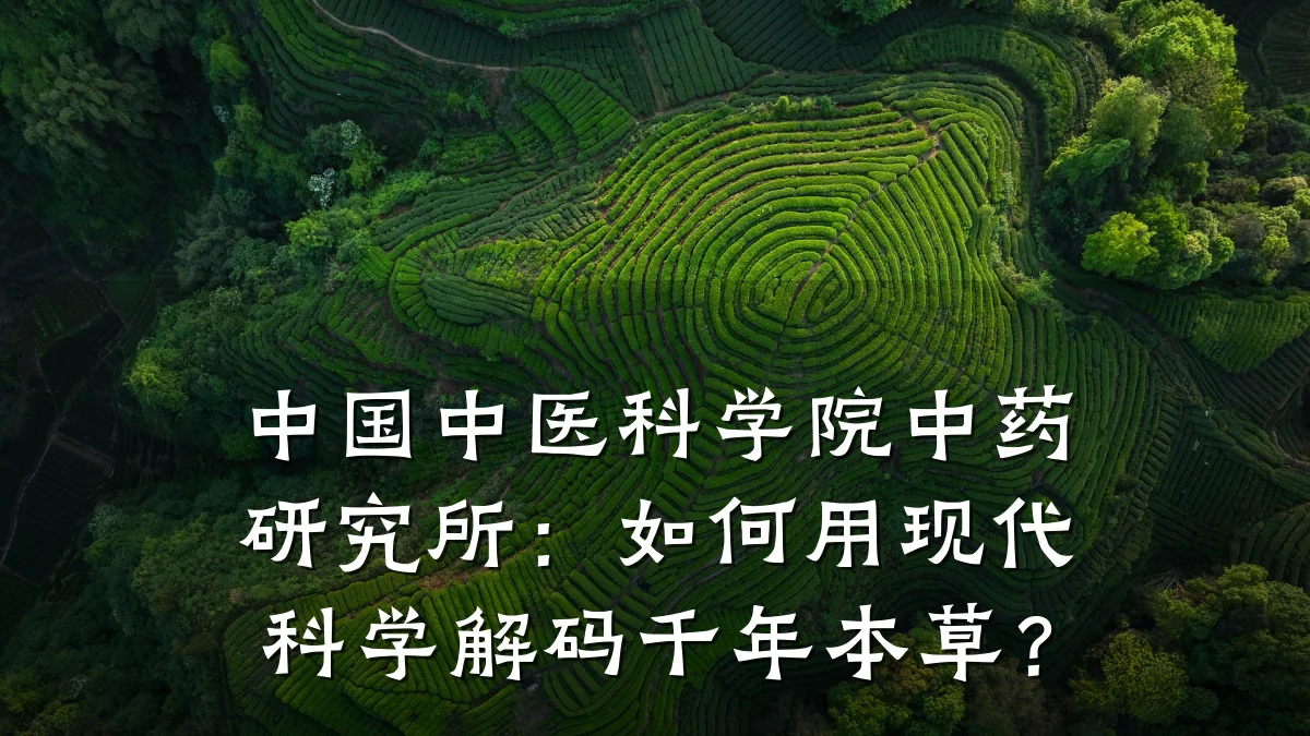 中国中医科学院中药研究所：如何用现代科学解码千年本草？