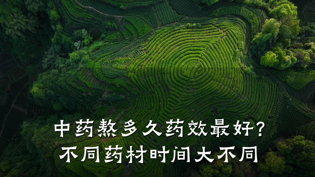 中药熬多久药效最好？不同药材时间大不同