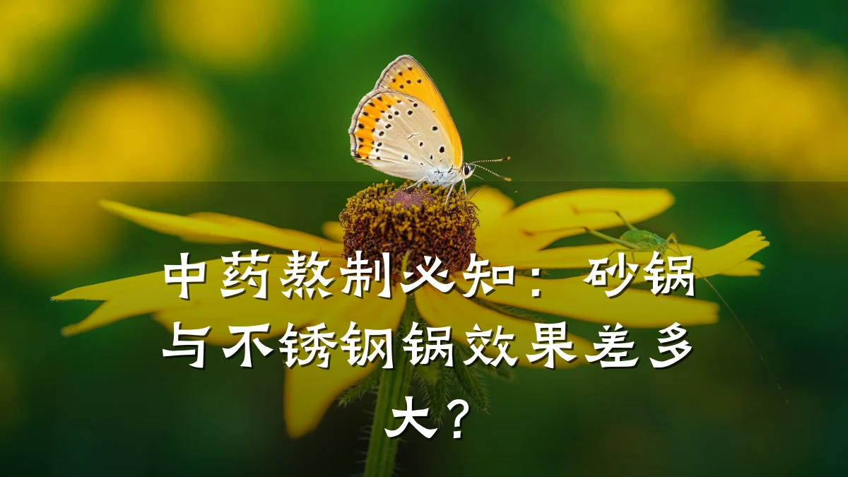 中药熬制必知:砂锅与不锈钢锅效果差多大?