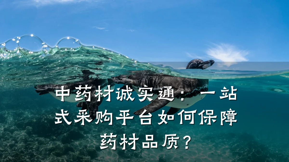 中药材诚实通:一站式采购平台如何保障药材品质?