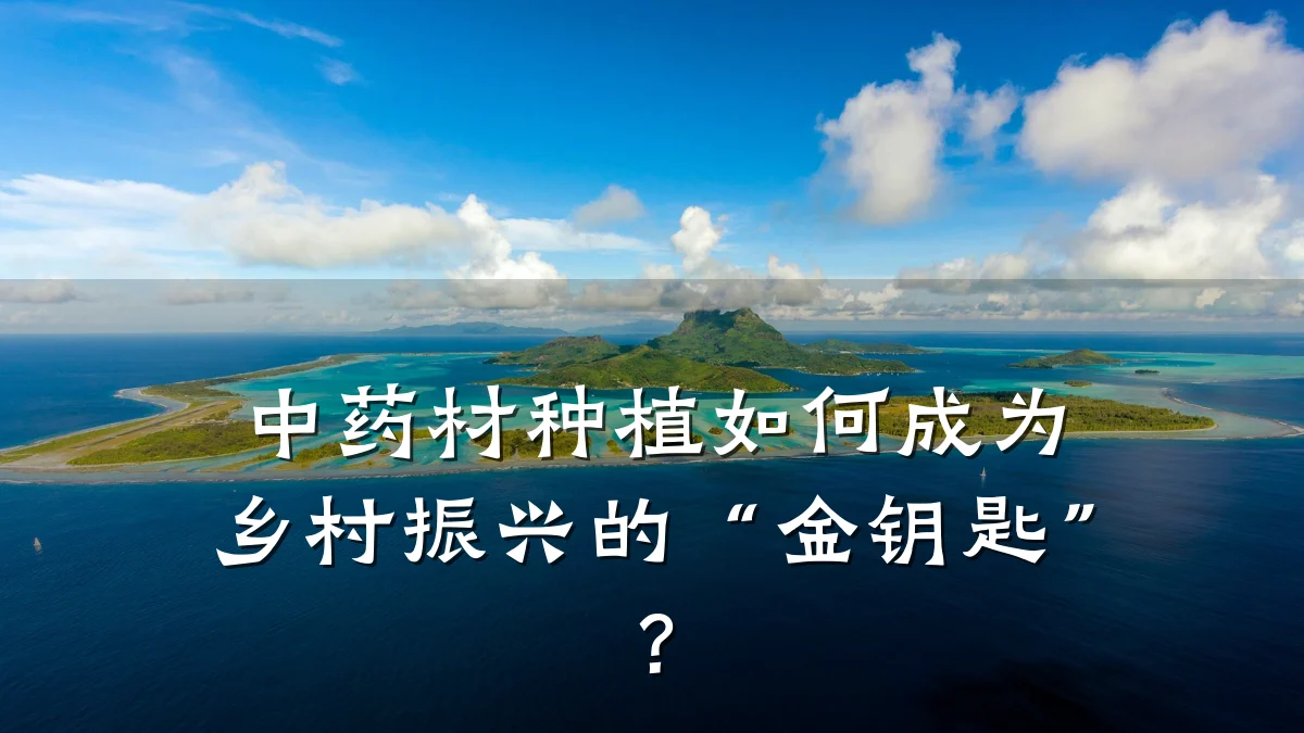 中药材种植如何成为乡村振兴的“金钥匙”？