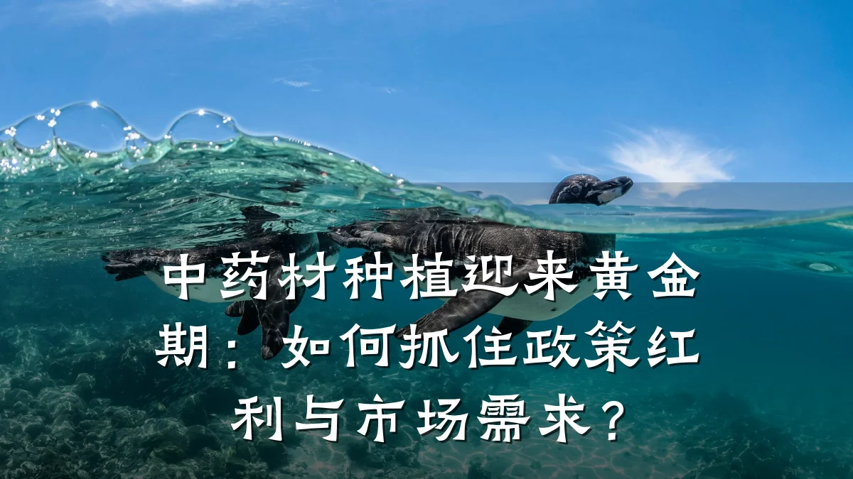 中药材种植迎来黄金期：如何抓住政策红利与市场需求？