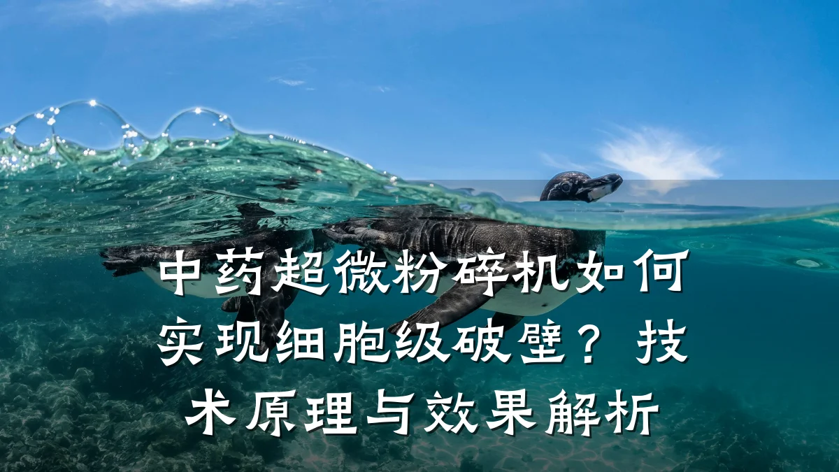 中药超微粉碎机如何实现细胞级破壁?技术原理与效果解析