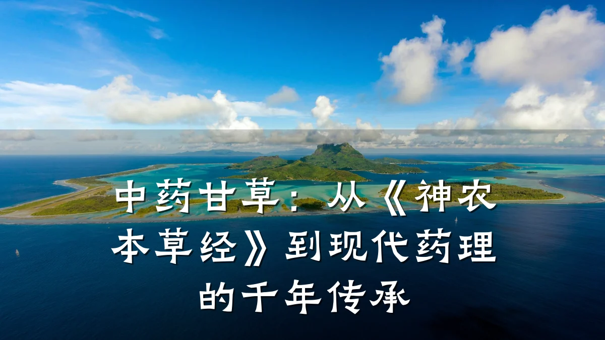 中药甘草:从《神农本草经》到现代药理的千年传承