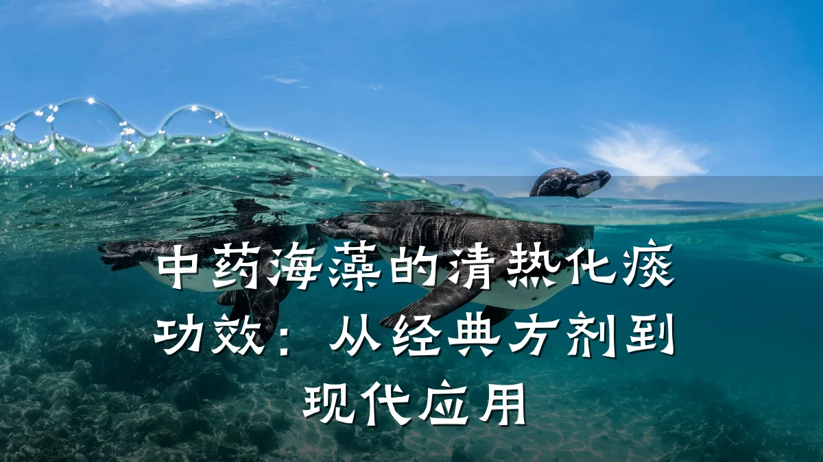 中药海藻的清热化痰功效:从经典方剂到现代应用