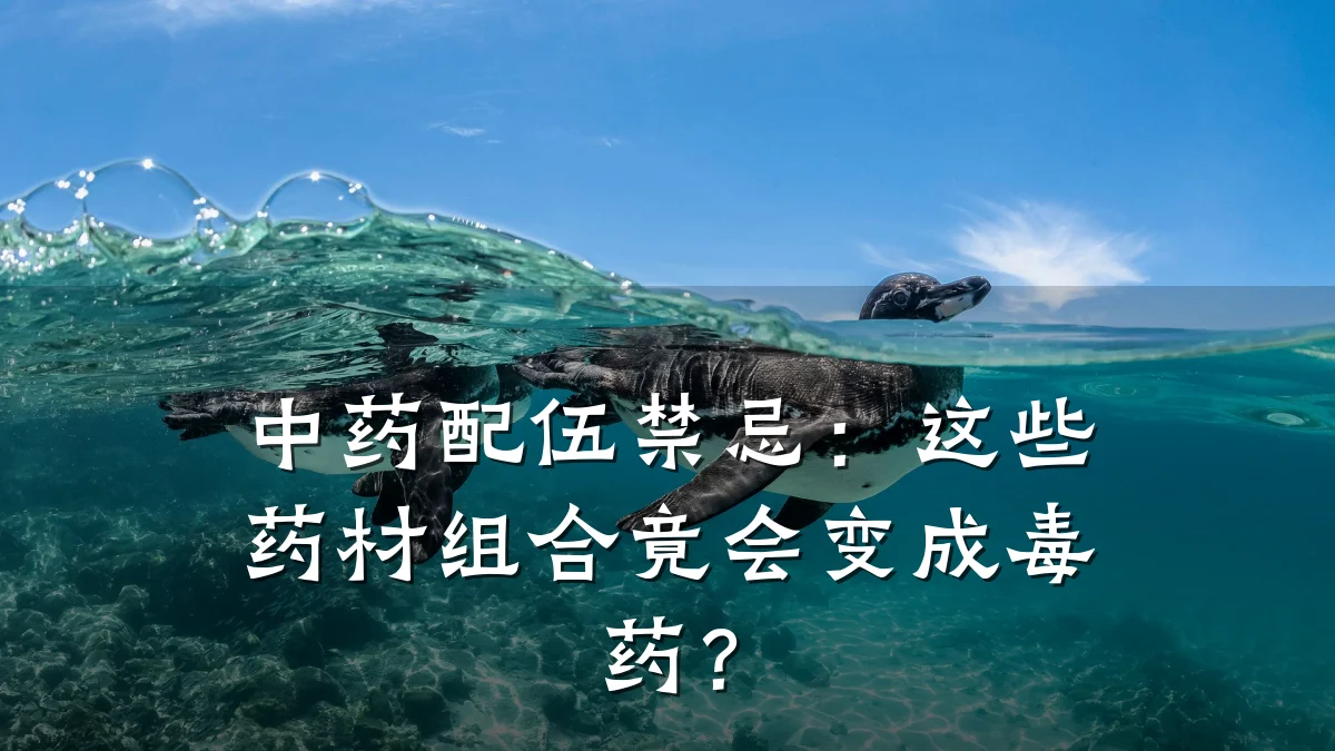中药配伍禁忌：这些药材组合竟会变成毒药？