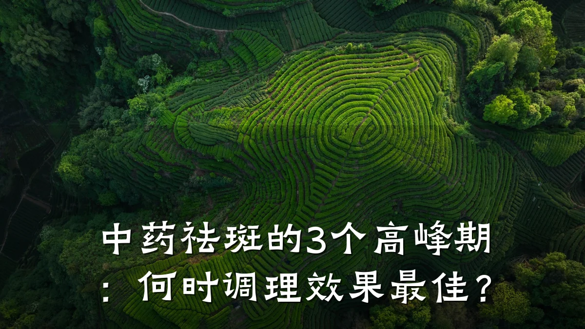 中药祛斑的3个高峰期:何时调理效果最佳?