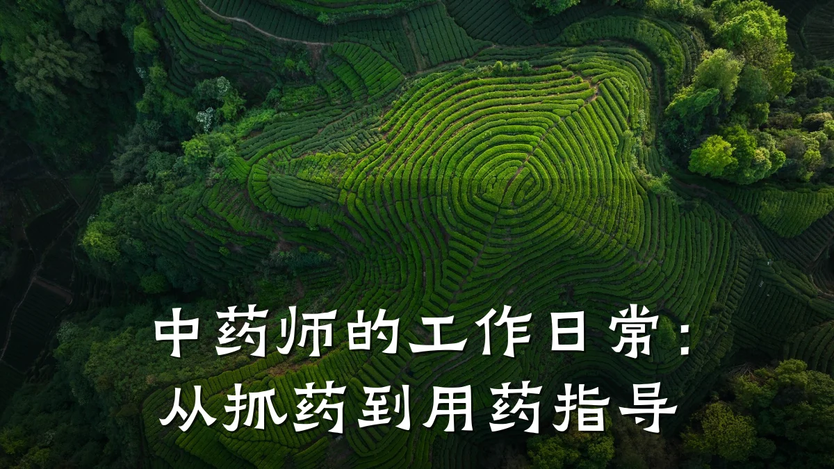中药师的工作日常:从抓药到用药指导