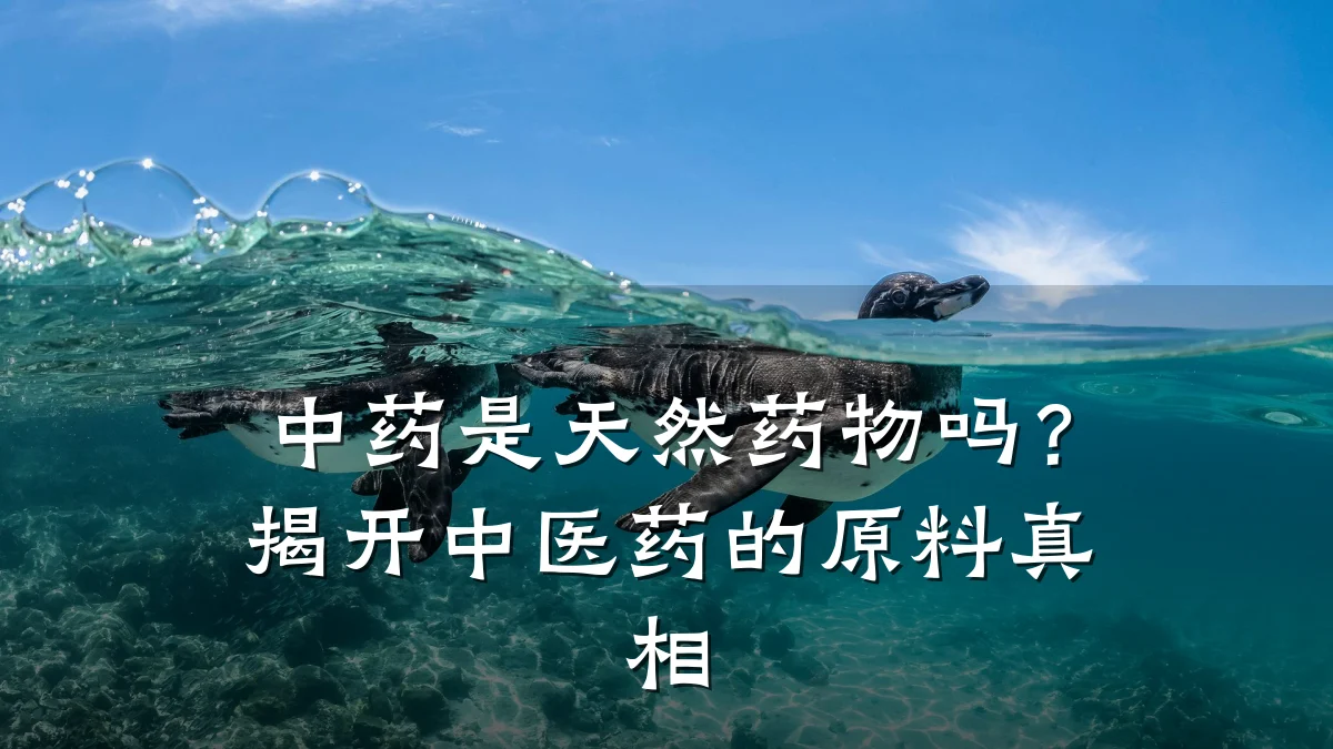 中药是天然药物吗?揭开中医药的原料真相