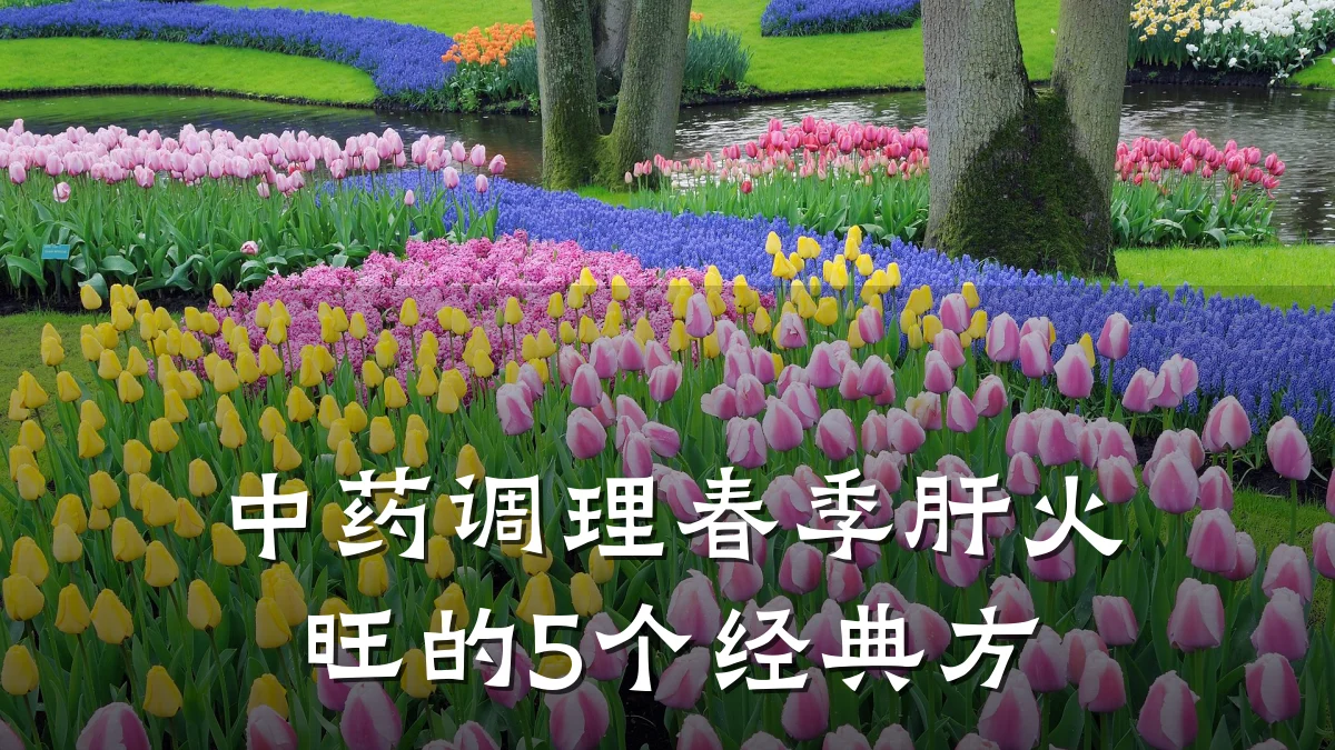 中药调理春季肝火旺的5个经典方