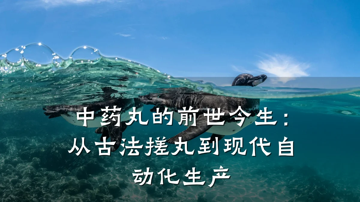 中药丸的前世今生:从古法搓丸到现代自动化生产