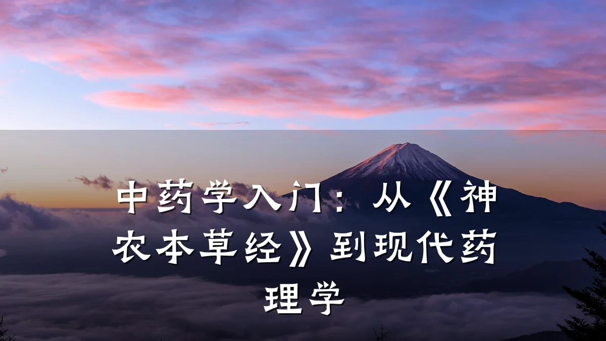 中药学入门:从《神农本草经》到现代药理学
