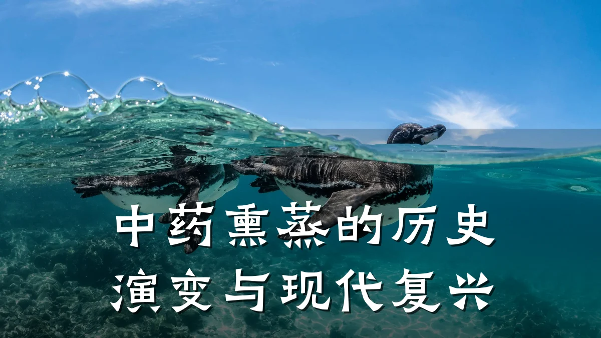 中药熏蒸的历史演变与现代复兴