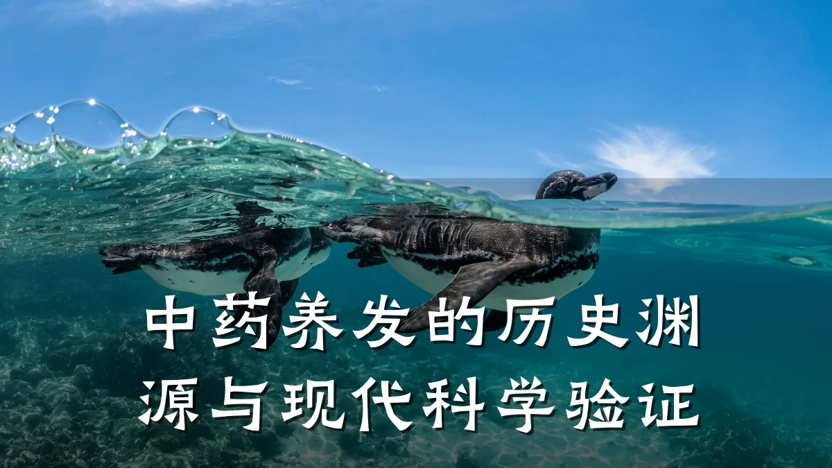 中药养发的历史渊源与现代科学验证