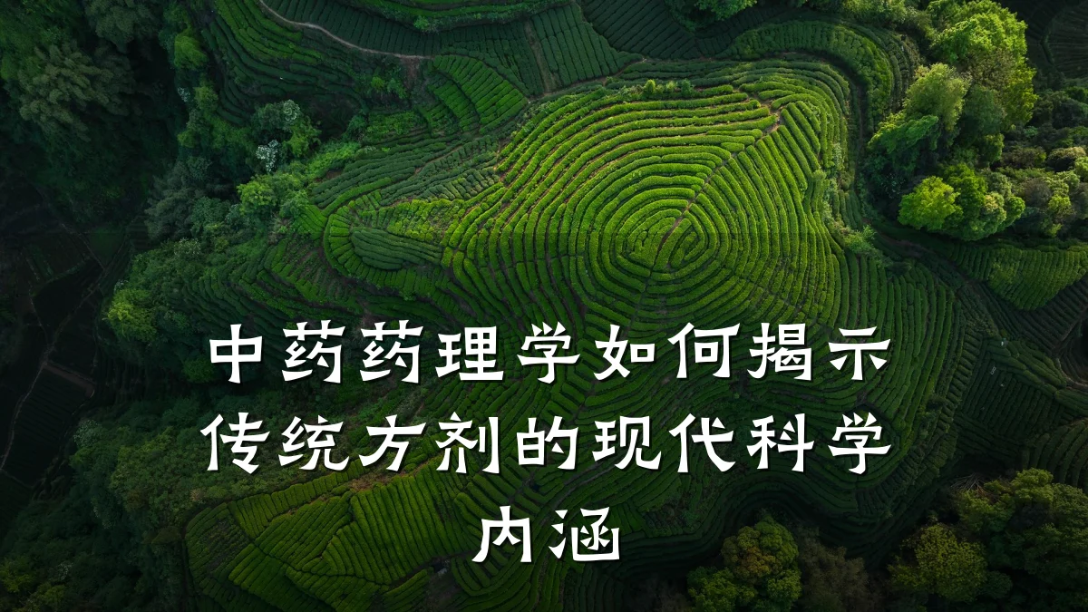 中药药理学如何揭示传统方剂的现代科学内涵