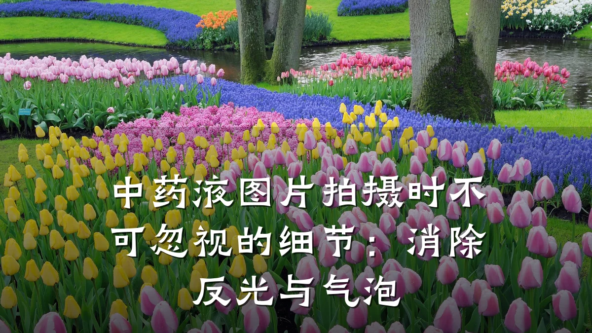 中药液图片拍摄时不可忽视的细节:消除反光与气泡
