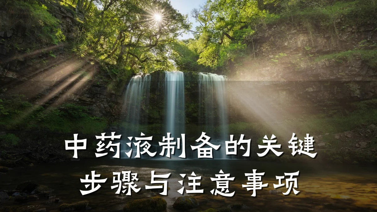 中药液制备的关键步骤与注意事项