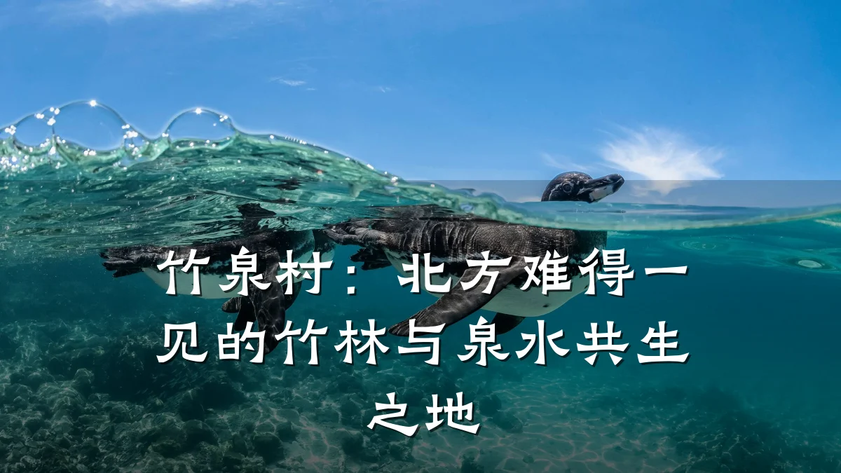 竹泉村：北方难得一见的竹林与泉水共生之地