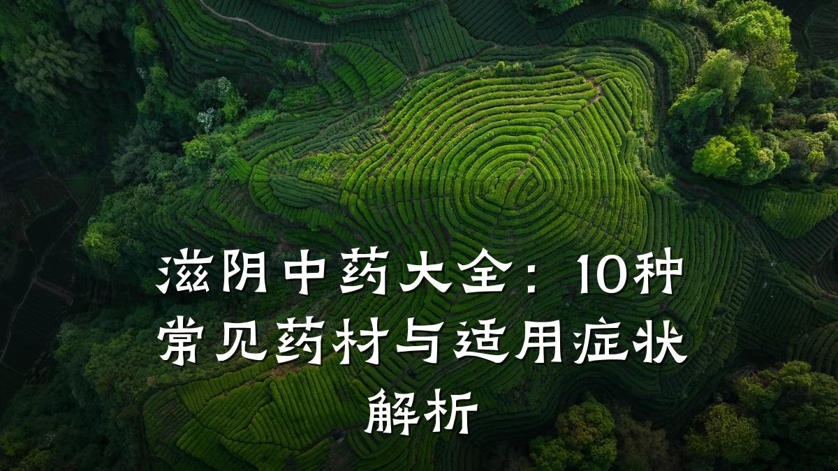 滋阴中药大全:10种常见药材与适用症状解析