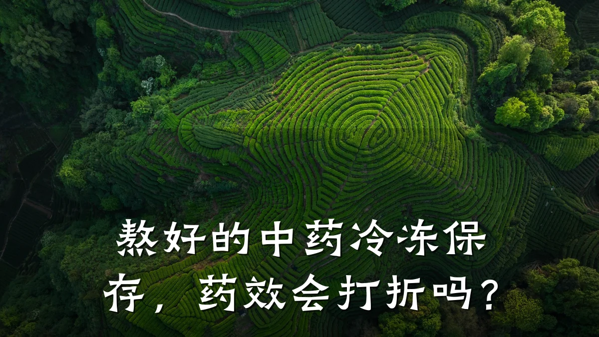 熬好的中药冷冻保存,药效会打折吗?