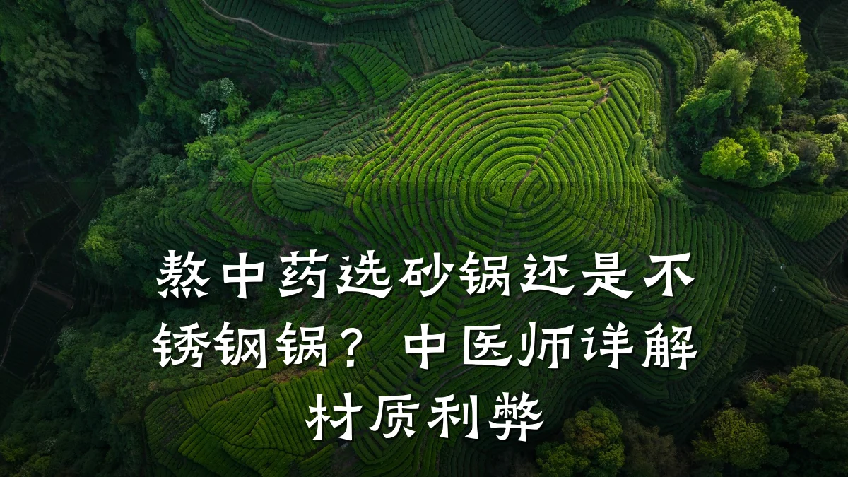 熬中药选砂锅还是不锈钢锅?中医师详解材质利弊