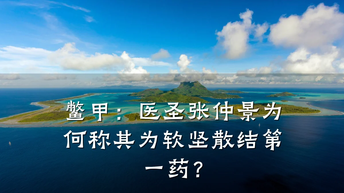 鳖甲:医圣张仲景为何称其为软坚散结第一药?