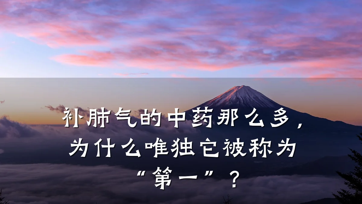 补肺气的中药那么多,为什么唯独它被称为“第一”?