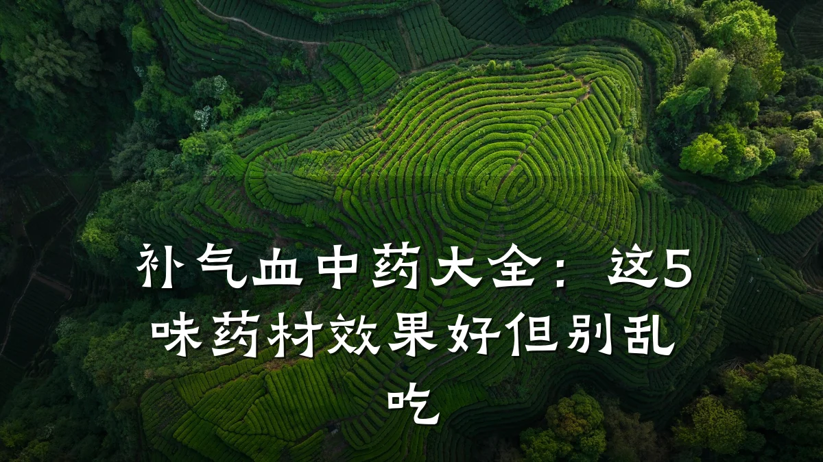 补气血中药大全：这5味药材效果好但别乱吃