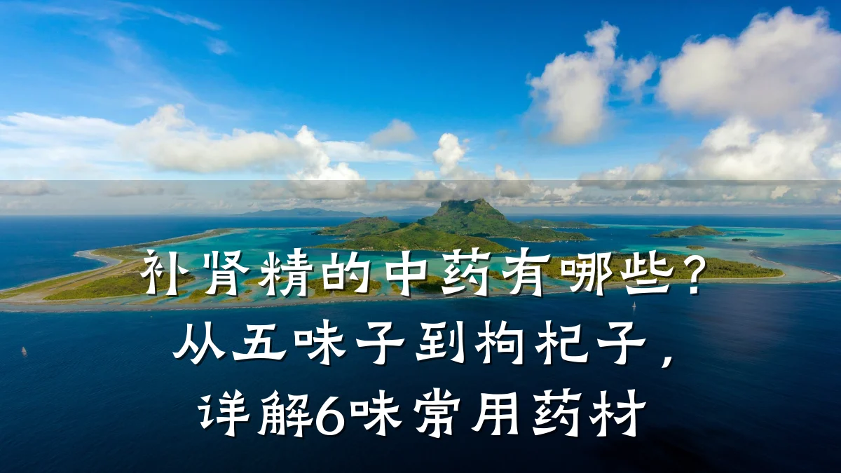 补肾精的中药有哪些?从五味子到枸杞子,详解6味常用药材