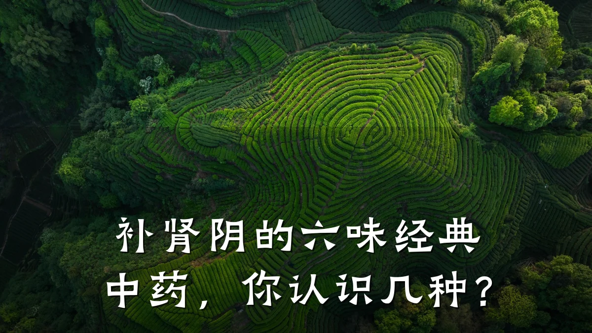 补肾阴的六味经典中药,你认识几种?