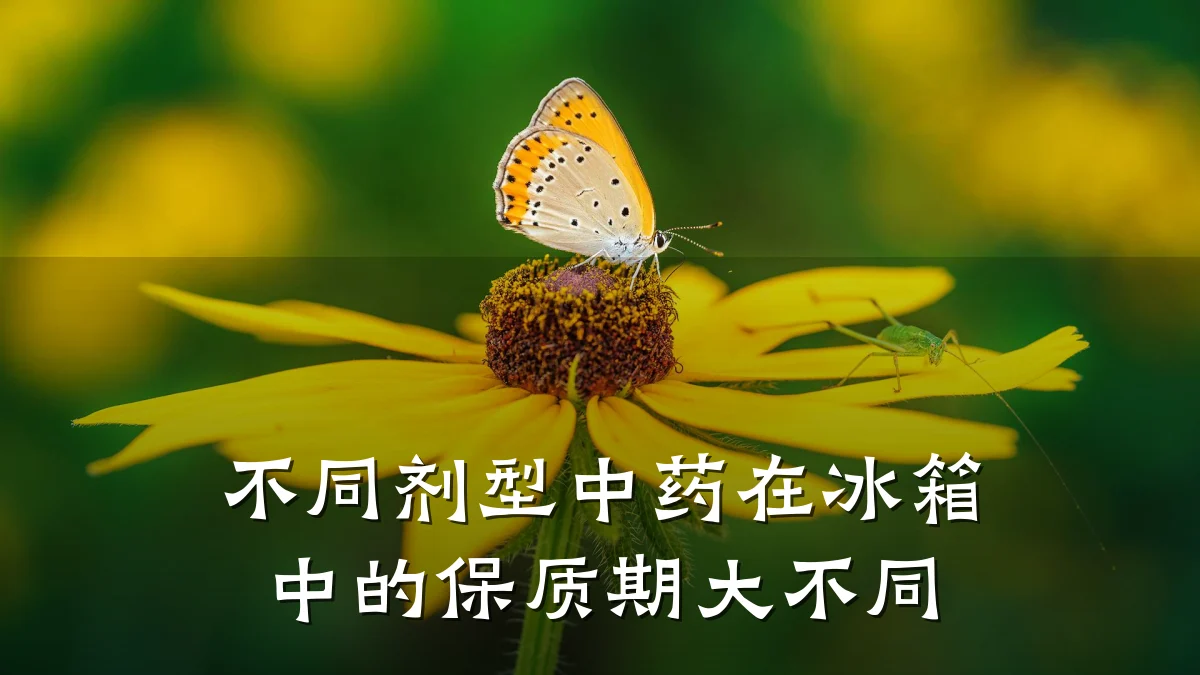 不同剂型中药在冰箱中的保质期大不同