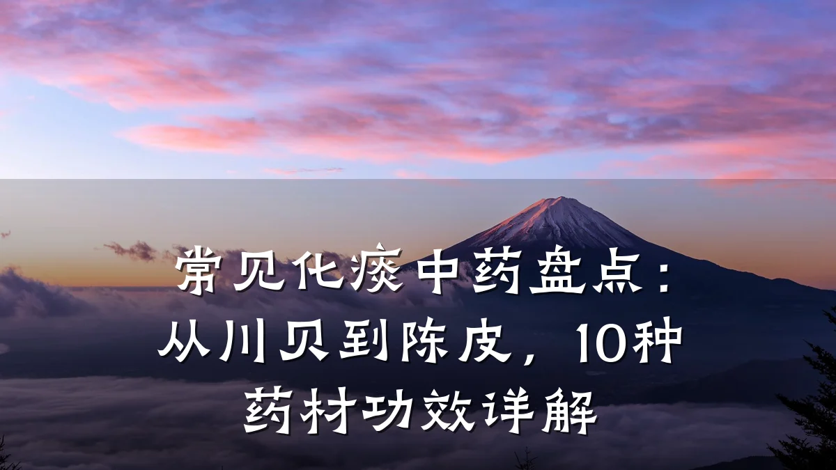 常见化痰中药盘点:从川贝到陈皮,10种药材功效详解