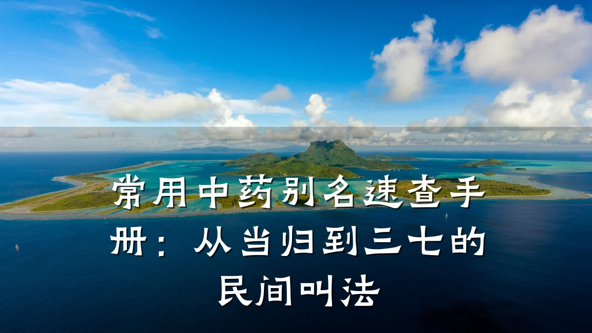 常用中药别名速查手册:从当归到三七的民间叫法