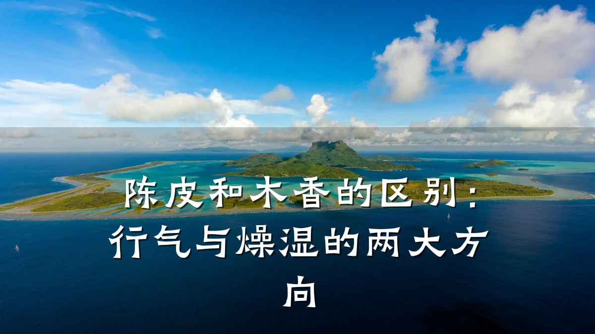陈皮和木香的区别:行气与燥湿的两大方向
